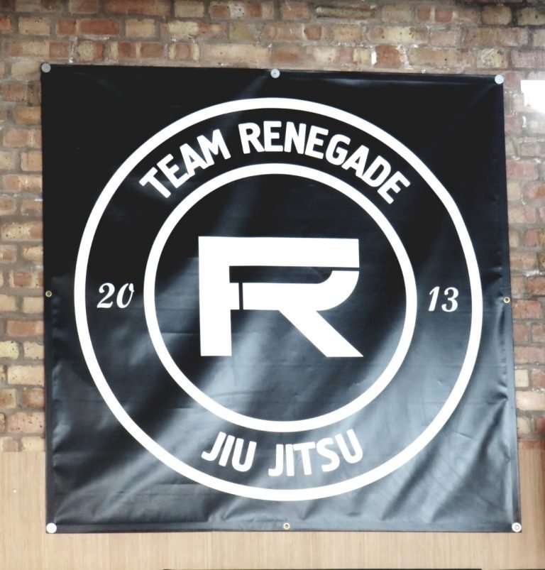 The Rise of Renegade X by Chelsea M. Campbell The Rise of Renegade X by Chelsea M. Campbell