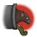 Picture of Steven Graffen