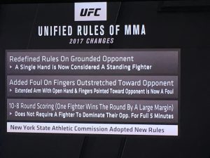UFC 210 MMA rules