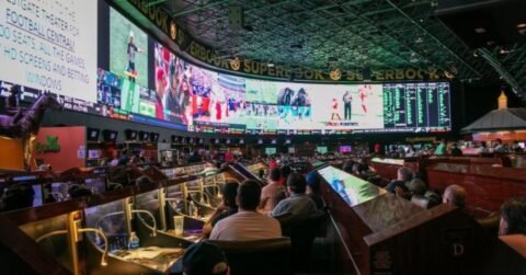 Prelims to Main Event: Where to Find the Best MMA Betting Markets Online