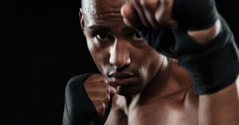 The Breakdown of Salaries and Bonuses of the Top MMA Fighters