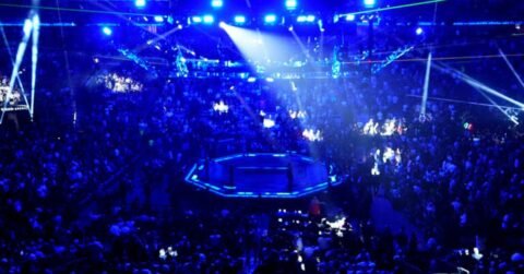 Fight Week in Vegas: The Psychology Behind Fighters at the Tables