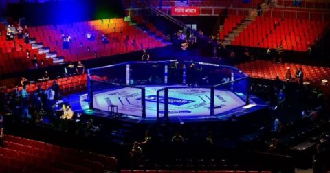 MMA Games That Could Make It in the Octagon